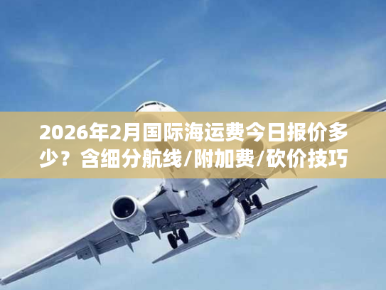 2026年2月国际海运费今日报价多少？含细分航线/附加费/砍价技巧