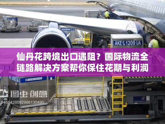 仙丹花跨境出口遇阻？国际物流全链路解决方案帮你保住花期与利润