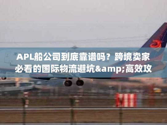 APL船公司到底靠谱吗？跨境卖家必看的国际物流避坑&高效攻略