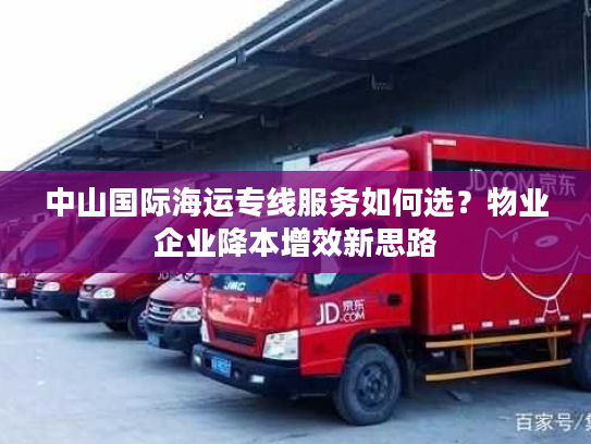 中山国际海运专线服务如何选？物业企业降本增效新思路