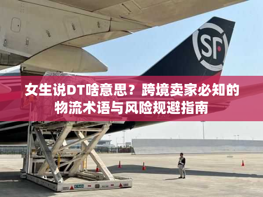 女生说DT啥意思？跨境卖家必知的物流术语与风险规避指南
