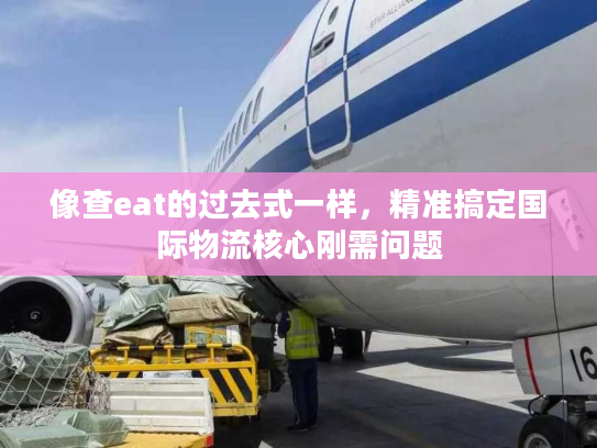 像查eat的过去式一样，精准搞定国际物流核心刚需问题