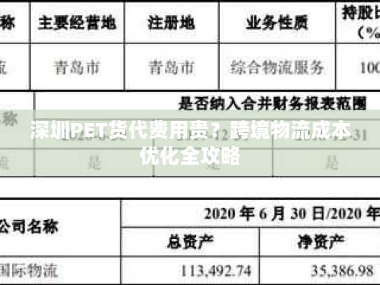 深圳PET货代费用贵?跨境物流成本优化全攻略 深圳PET货代费用贵?跨境物流成本优化全攻略