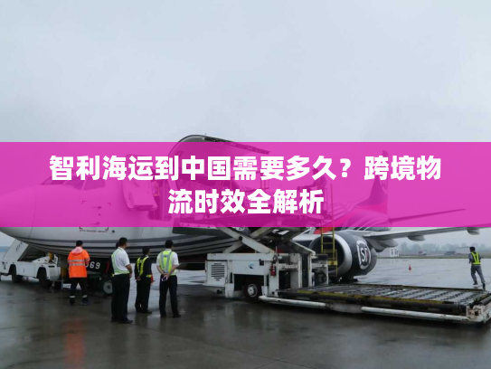智利海运到中国需要多久?跨境物流时效全解析 智利海运到中国需要多久?跨境物流时效全解析