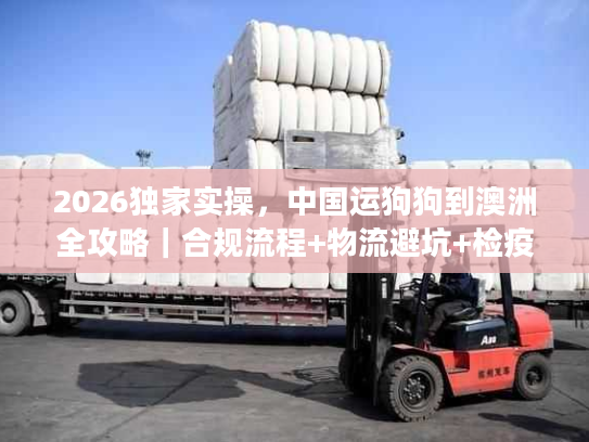 2026独家实操，中国运狗狗到澳洲全攻略｜合规流程+物流避坑+检疫指南