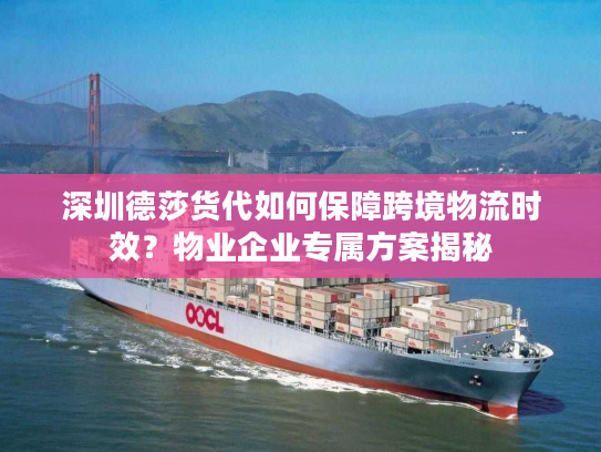 深圳德莎货代如何保障跨境物流时效?物业企业专属方案揭秘 深圳德莎货代如何保障跨境物流时效?物业企业专属方案揭秘