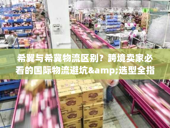 希翼与希冀物流区别？跨境卖家必看的国际物流避坑&选型全指南