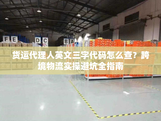 货运代理人英文三字代码怎么查？跨境物流实操避坑全指南