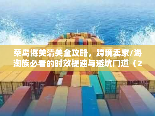 菜鸟海关清关全攻略，跨境卖家/海淘族必看的时效提速与避坑门道（2026）