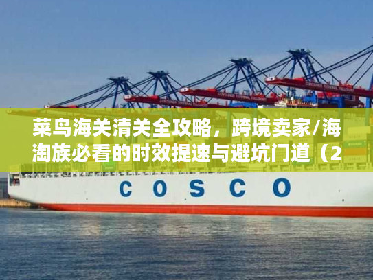 菜鸟海关清关全攻略，跨境卖家/海淘族必看的时效提速与避坑门道（2026）