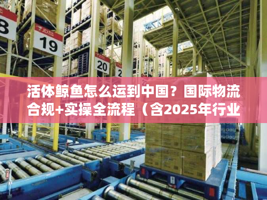 活体鲸鱼怎么运到中国？国际物流合规+实操全流程（含2025年行业数据）
