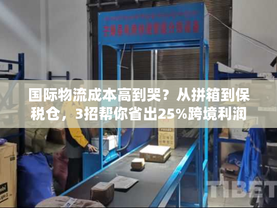 国际物流成本高到哭?从拼箱到保税仓,3招帮你省出25%跨境利润 国际物流成本高到哭?从拼箱到保税仓,3招帮你省出25%跨境利润