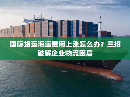 国际货运海运费用上涨怎么办？三招破解企业物流困局