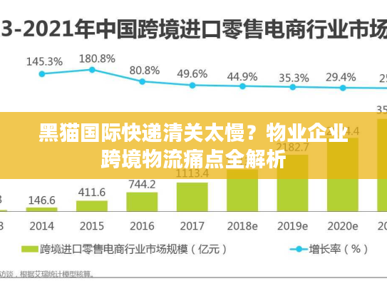黑猫国际快递清关太慢？物业企业跨境物流痛点全解析