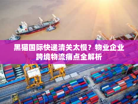 黑猫国际快递清关太慢？物业企业跨境物流痛点全解析