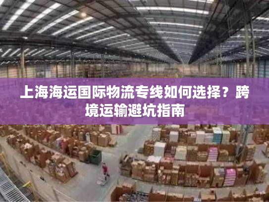 上海海运国际物流专线如何选择？跨境运输避坑指南
