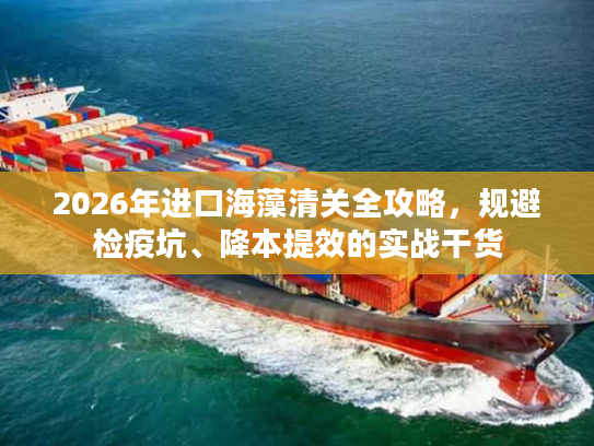 2026年进口海藻清关全攻略，规避检疫坑、降本提效的实战干货