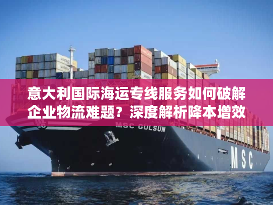 意大利国际海运专线服务如何破解企业物流难题？深度解析降本增效方案
