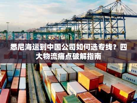 悉尼海运到中国公司如何选专线？四大物流痛点破解指南