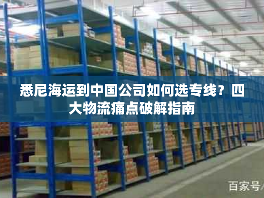 悉尼海运到中国公司如何选专线？四大物流痛点破解指南