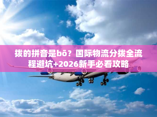拨的拼音是bō？国际物流分拨全流程避坑+2026新手必看攻略