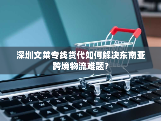 深圳文莱专线货代如何解决东南亚跨境物流难题？