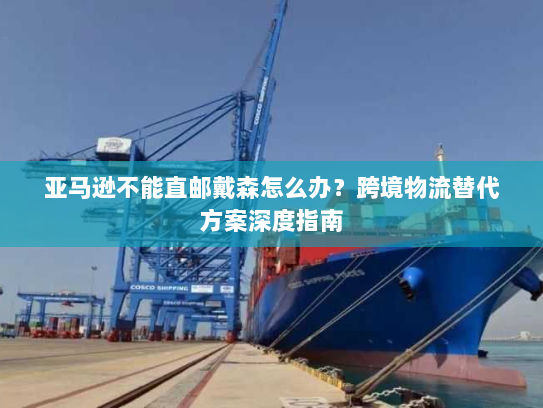 亚马逊不能直邮戴森怎么办？跨境物流替代方案深度指南