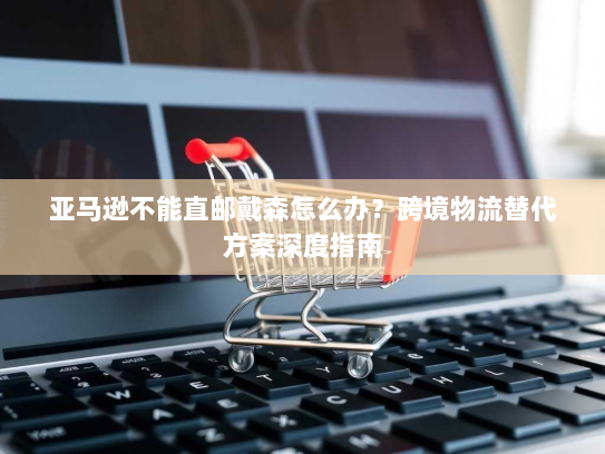 亚马逊不能直邮戴森怎么办？跨境物流替代方案深度指南