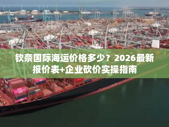 钦奈国际海运价格多少？2026最新报价表+企业砍价实操指南