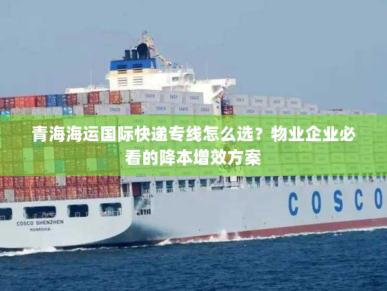 青海海运国际快递专线怎么选？物业企业必看的降本增效方案