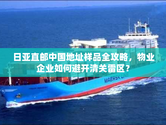 日亚直邮中国地址样品全攻略，物业企业如何避开清关雷区？