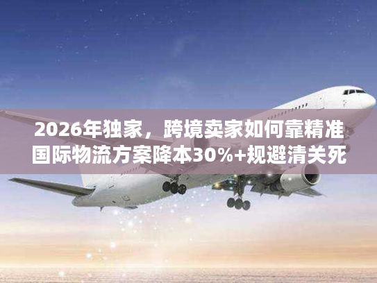 2026年独家，跨境卖家如何靠精准国际物流方案降本30%+规避清关死穴？