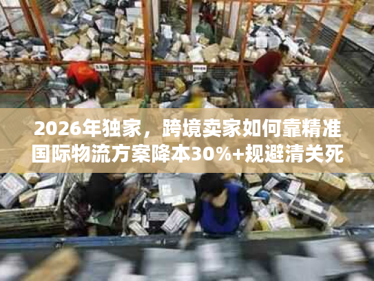 2026年独家，跨境卖家如何靠精准国际物流方案降本30%+规避清关死穴？
