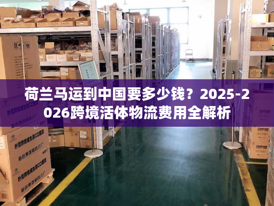 荷兰马运到中国要多少钱？2025-2026跨境活体物流费用全解析