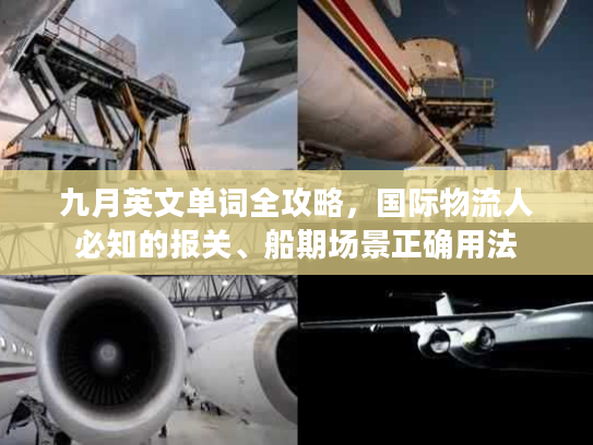 九月英文单词全攻略，国际物流人必知的报关、船期场景正确用法