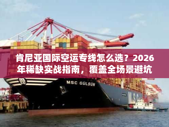 肯尼亚国际空运专线怎么选？2026年稀缺实战指南，覆盖全场景避坑方案