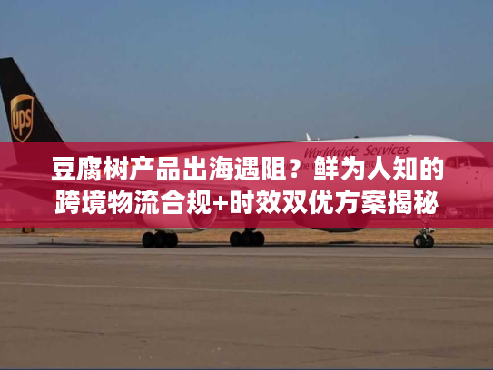 豆腐树产品出海遇阻?鲜为人知的跨境物流合规+时效双优方案揭秘 豆腐树产品出海遇阻?鲜为人知的跨境物流合规+时效双优方案揭秘