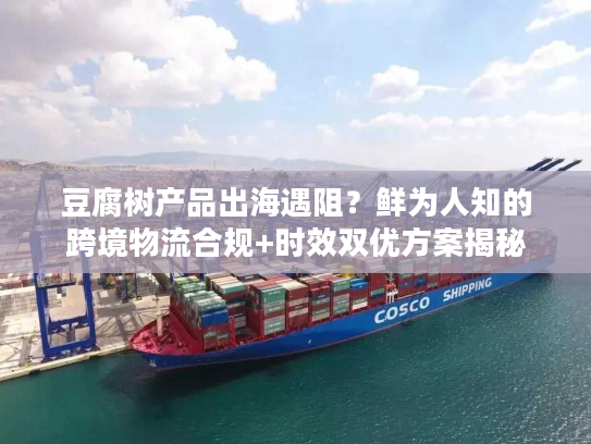 豆腐树产品出海遇阻？鲜为人知的跨境物流合规+时效双优方案揭秘