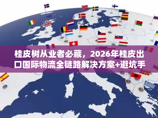 桂皮树从业者必藏，2026年桂皮出口国际物流全链路解决方案+避坑手册