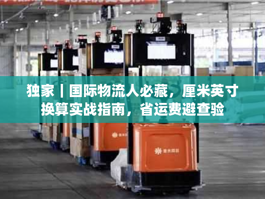 独家｜国际物流人必藏，厘米英寸换算实战指南，省运费避查验