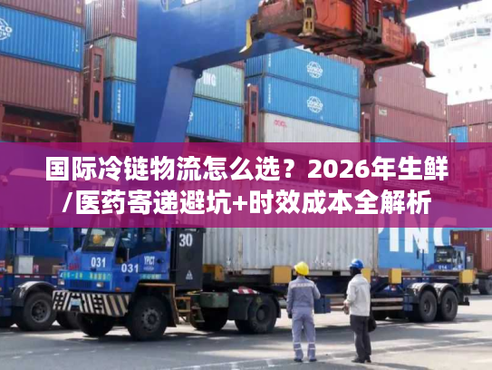 国际冷链物流怎么选？2026年生鲜/医药寄递避坑+时效成本全解析