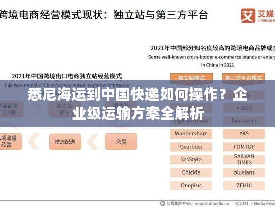 悉尼海运到中国快递如何操作？企业级运输方案全解析