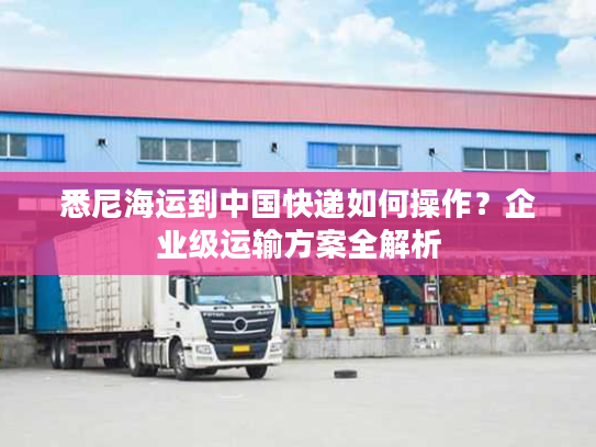 悉尼海运到中国快递如何操作？企业级运输方案全解析
