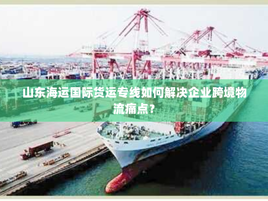 山东海运国际货运专线如何解决企业跨境物流痛点？