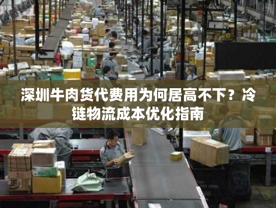 深圳牛肉货代费用为何居高不下？冷链物流成本优化指南