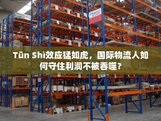 Tūn Shì效应猛如虎，国际物流人如何守住利润不被吞噬？
