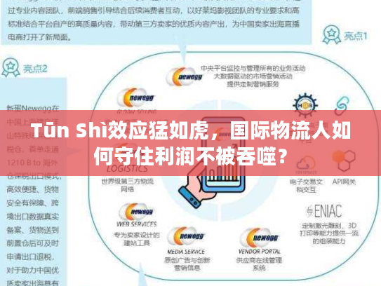 Tūn Shì效应猛如虎，国际物流人如何守住利润不被吞噬？