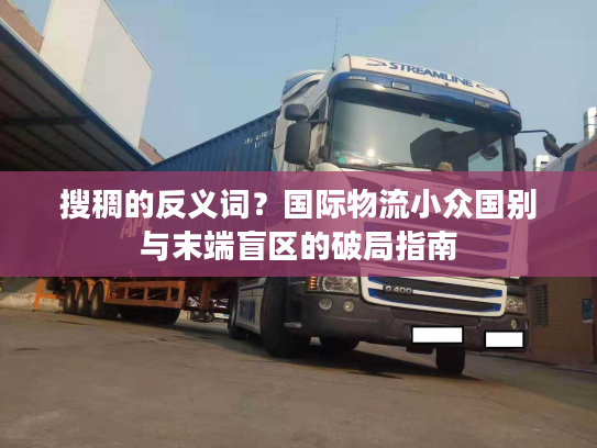 搜稠的反义词？国际物流小众国别与末端盲区的破局指南