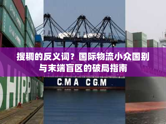 搜稠的反义词？国际物流小众国别与末端盲区的破局指南