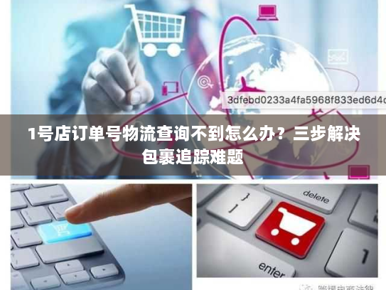 1号店订单号物流查询不到怎么办？三步解决包裹追踪难题